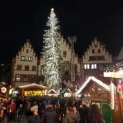 Tennisbezirk Frankfurt